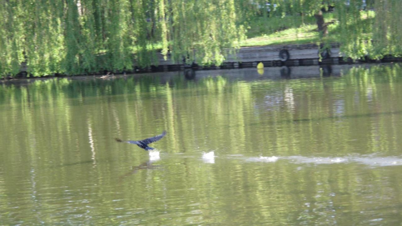 Cztery Pory Roku Appartement Augustów Buitenkant foto